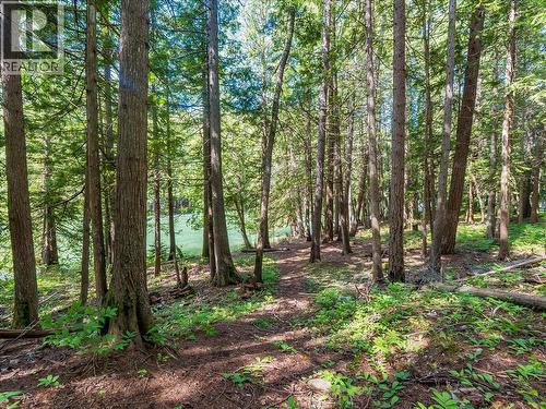 2621 3A Highway, Castlegar, BC - Outdoor With View