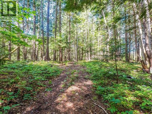 2621 3A Highway, Castlegar, BC - Outdoor