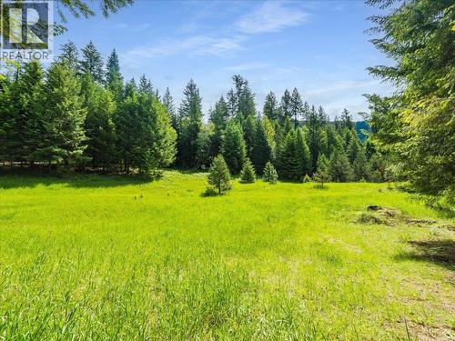 2621 3A Highway, Castlegar, BC - Outdoor With View