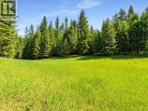 2621 3A Highway, Castlegar, BC - Outdoor