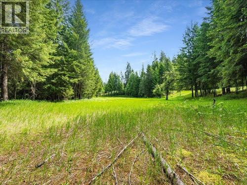 2621 3A Highway, Castlegar, BC - Outdoor