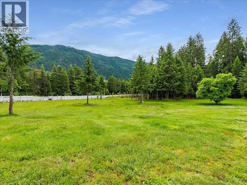 2621 3A Highway, Castlegar, BC - Outdoor With View