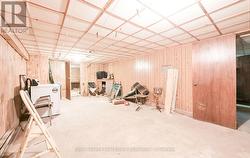Basement - 