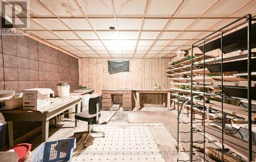 Basement - 27 Rothsay Avenue, Kitchener, ON - Indoor