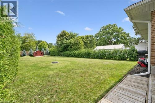 Expansive green lawn with a red storage shed, mature perimeter trees, and wood-finish decking - 49 East Street, Cambridge, ON - Outdoor