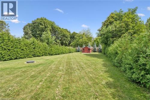 Expansive green lawn with mature perimeter trees and a red utility shed - 49 East Street, Cambridge, ON - Outdoor