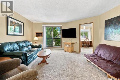 203 525 5Th Avenue N, Saskatoon, SK - Indoor Photo Showing Living Room