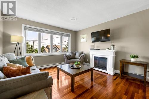 12 Riverview Place, Torbay, NL - Indoor Photo Showing Living Room With Fireplace