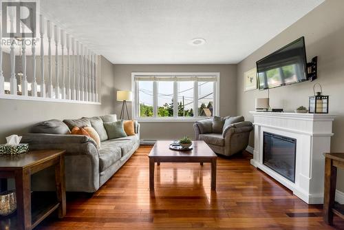 12 Riverview Place, Torbay, NL - Indoor Photo Showing Living Room With Fireplace