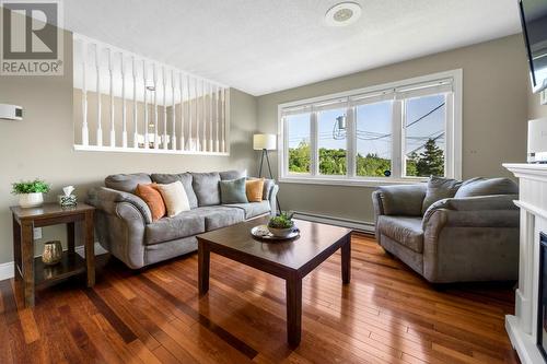 12 Riverview Place, Torbay, NL - Indoor Photo Showing Living Room
