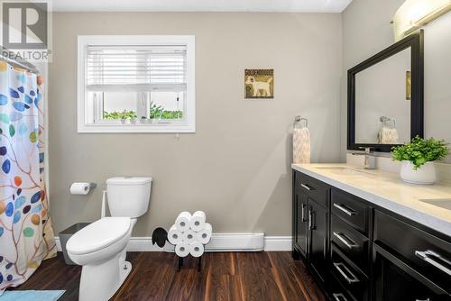12 Riverview Place, Torbay, NL - Indoor Photo Showing Bathroom