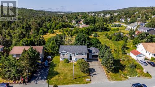 12 Riverview Place, Torbay, NL - Outdoor With View