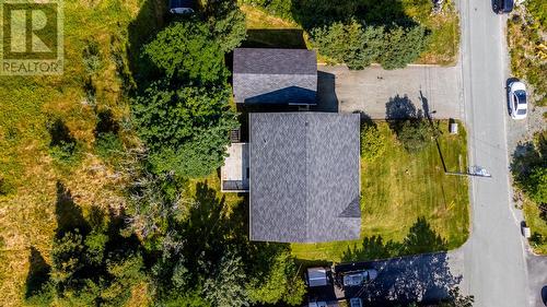 12 Riverview Place, Torbay, NL - Outdoor