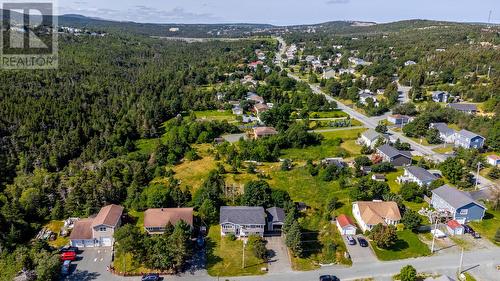 12 Riverview Place, Torbay, NL - Outdoor With View