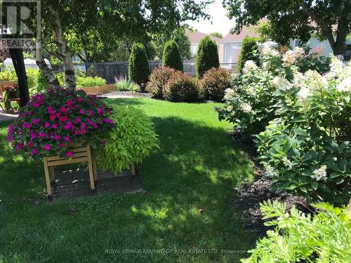 Glorious Summer View of Backyard ... - 58 Decaria Boulevard, Perth, ON - Outdoor