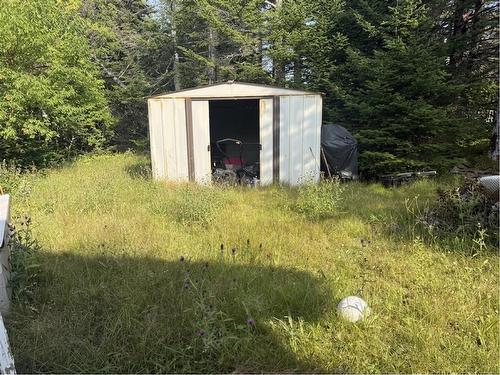 96 Hodgewater Line, Cbn, NL - Outdoor