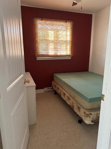 96 Hodgewater Line, Cbn, NL - Indoor Photo Showing Bedroom