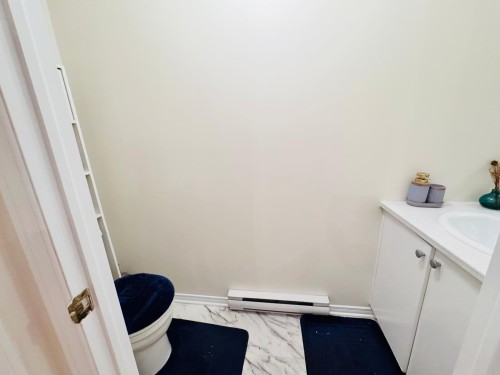 Powder room - 9435 Rue Riverin, Brossard, QC - Indoor Photo Showing Bathroom