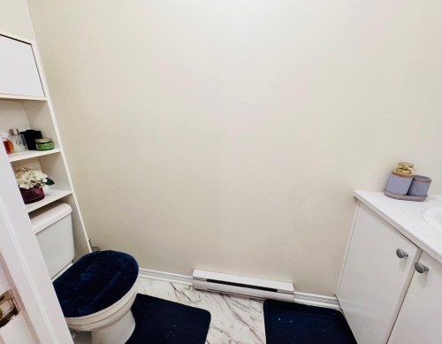 Powder room - 9435 Rue Riverin, Brossard, QC - Indoor