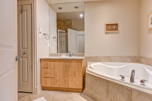 Bathroom - 683 Rue St-Timothée, Montréal (Ville-Marie), QC - Indoor Photo Showing Bathroom