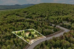 53 Ch. du Mélèze  Notre-Dame-Des-Bois, QC J0B 2E0
