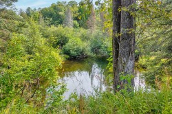 Bord de l'eau - 