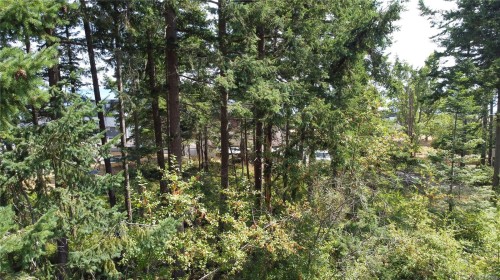 Lot 27 Walter Rd, Comox, BC 