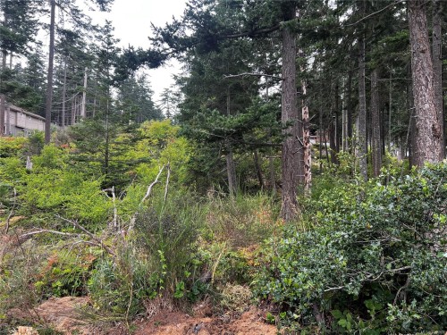 Lot 27 Walter Rd, Comox, BC 