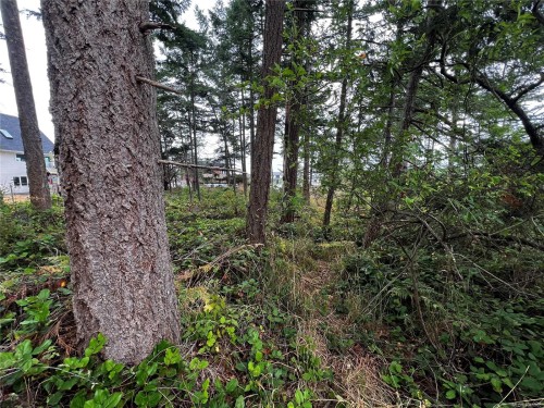 Lot 27 Walter Rd, Comox, BC 