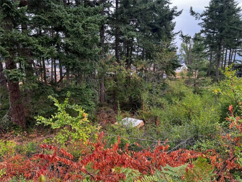 Lot 27 Walter Rd, Comox, BC 