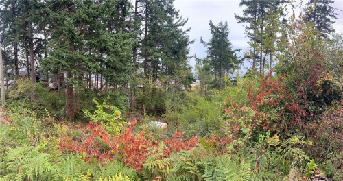 Lot 27 Walter Rd, Comox, BC 