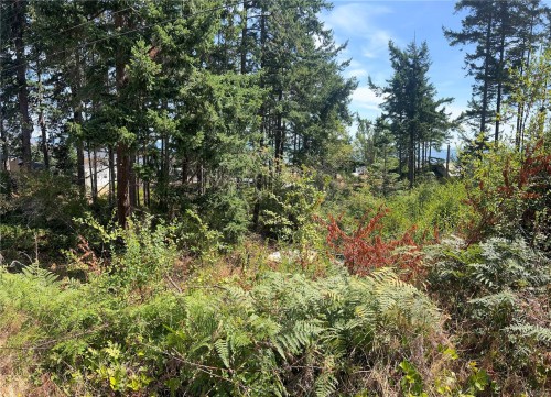Lot 27 Walter Rd, Comox, BC 