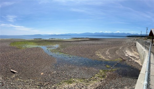 Lot 27 Walter Rd, Comox, BC 