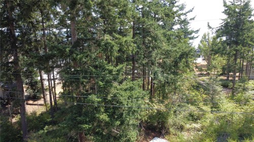 Lot 27 Walter Rd, Comox, BC 