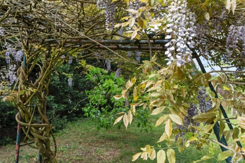 4550 Weber Rd, Duncan, BC 