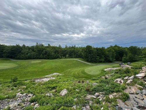 309-100 Carrick Trail, Gravenhurst, ON - Outdoor With View