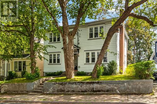 38 Forest Road, St. John'S, NL 