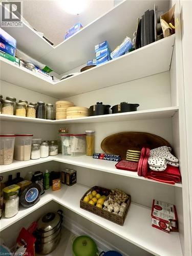 Organized pantry shelving with ample storage capacity featuring multiple built-in shelves, integrated storage containers, and dedicated space for dry goods, canned items, and kitchen essentials - 923 Eaglecrest Court, Kitchener, ON - Indoor With Storage