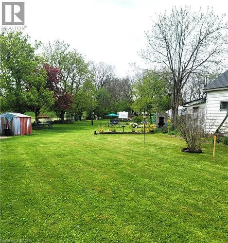 Gorgeous backyard - 46 Bridge Street E, Kitchener, ON 
