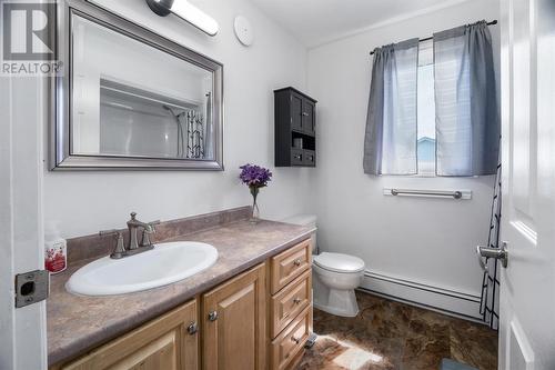 43 Critch'S Path, St John'S, NL - Indoor Photo Showing Bathroom