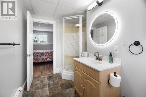 43 Critch'S Path, St John'S, NL - Indoor Photo Showing Bathroom