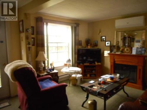 352 Main Street, Springdale, NL - Indoor Photo Showing Living Room With Fireplace