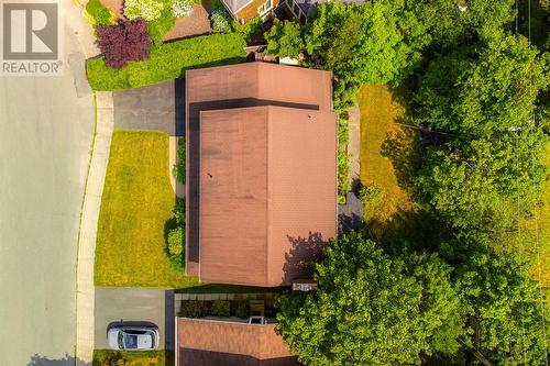 10 Tonbridge Place, St. John'S, NL - Outdoor