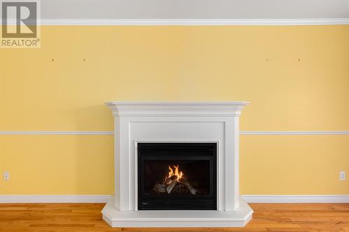 10 Tonbridge Place, St. John'S, NL - Indoor Photo Showing Other Room With Fireplace