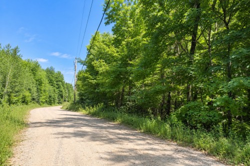 Terre/Terrain - Ch. De La Montagne, Mandeville, QC 