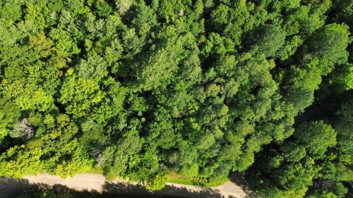 Lot - Ch. De La Montagne, Mandeville, QC 