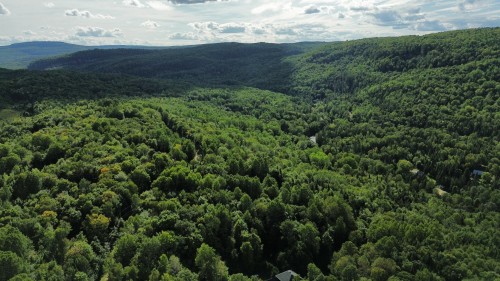 Lot - Ch. De La Montagne, Mandeville, QC 