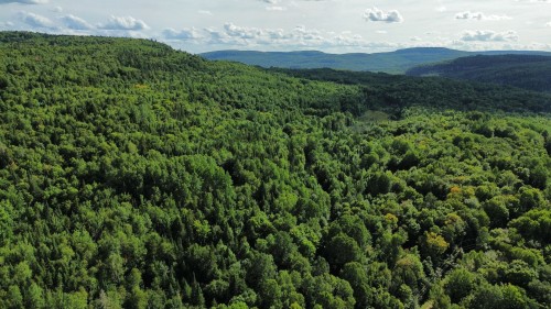 Lot - Ch. De La Montagne, Mandeville, QC 
