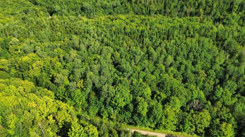 Lot - Ch. De La Montagne, Mandeville, QC 