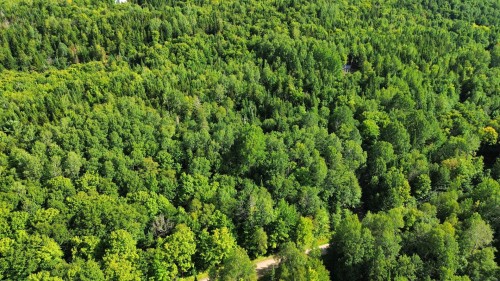 Lot - Ch. De La Montagne, Mandeville, QC 